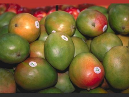 ಹಾಳು ಹುಳುಕಟ್ಟೆಯ ಕೊಳೆತ ಉಪ್ಪಿನ ಕಾಯಿ