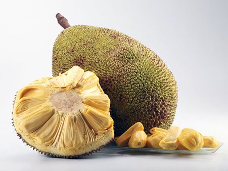 ಮೇ.15ರಿಂದ ಬೆಂಗಳೂರಿನಲ್ಲಿ ಹಲಸು ಮೇಳ