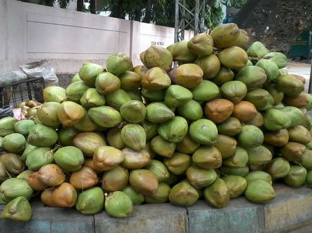 ಬೆಂಗಳೂರಲ್ಲಿ ಉಚಿತ ಎಳನೀರು! ಹೀಗೂ ಉಂಟೆ?