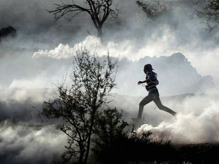 ಕವನ : ನಾ ಕನ್ನಡಮ್ಮನ ಬಿಟ್ಟು ಹೋಗುವುದಿಲ್ಲ!