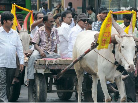 ಕನ್ನಡ ವಿರೋಧಿ ಭೂತ ಸುಟ್ಟು ವಾಟಾಳ್‌ ಪ್ರತಿಭಟನೆ