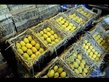 ಹೆಡ್ ಲೈನ್ಸ್: ದೇಶ, ವಿದೇಶಗಳ ಚುಟುಕು ಸುದ್ದಿ