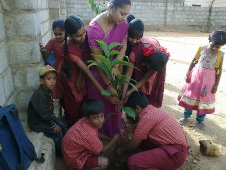ಬೆಂಗಳೂರು : ಅಂಜನಾಪುರ ವಾರ್ಡಿನಲ್ಲಿ ವನಮಹೋತ್ಸವ