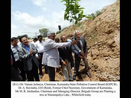 ವೈಟ್ ಫೀಲ್ಡ್ ಸೀತಾರಾಮಪಾಳ್ಯ ಕೆರೆಗೆ ಹಸಿರು ಹೊದಿಕೆ