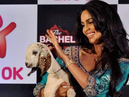 ರಾಷ್ಟ್ರಧ್ವಜಕ್ಕೆ ಅಗೌರವ, ನಟಿ ಮಲ್ಲಿಕಾ ಮೇಲೆ ಕೇಸ್