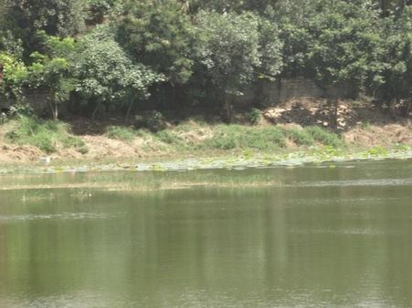 ಯಡಿಯೂರು ಕೆರೆ, ಪಾರ್ಕ್‌ ಮೇಲೊಂದು ಪಕ್ಷಿ ನೋಟ