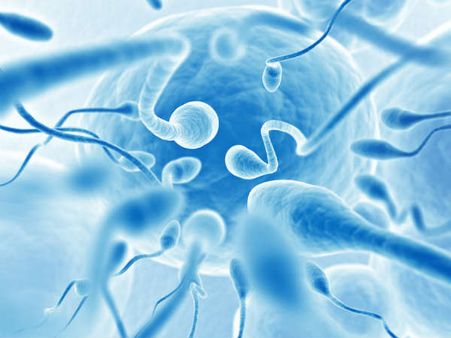 ಬಾಯಾಗ ಮಚ್ಚೆ ಇದ್ರ ಗಂಡ ಆಗೋದ ಗ್ಯಾರಂಟಿ!