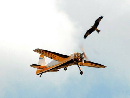 ಏರೋ ಮಾಡೆಲಿಂಗ್‌ಗೆ ಸಾಕ್ಷಿಯಾದ 15 ವಿಮಾನಗಳು