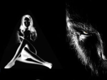 ಬೆಂಗಳೂರಿನಲ್ಲಿ ಹೈಟೆಕ್ ವೇಶ್ಯಾವಾಟಿಕೆ ಜಾಲ ಬಯಲು