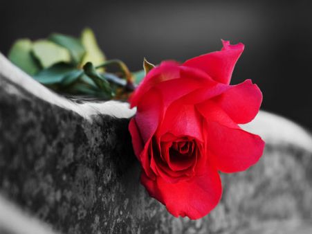 ಕಥೆ : ಟಪ್ ಟಪ್ ಬುದ್ಧಿಸ್ಟ್ ಸೆಂಟರ್ (ಭಾಗ 3)