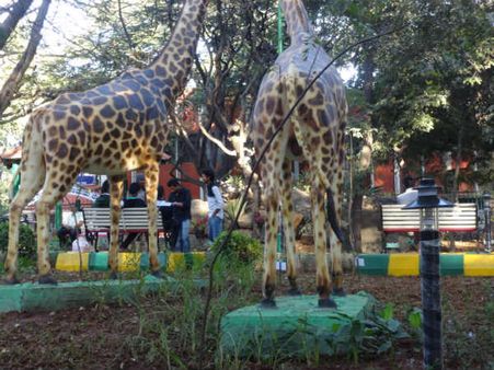 ಜಯನಗರ ಸೌತ್ ಎಂಡ್ ವೃತ್ತಕ್ಕೀಗ 'ಸಂಜೀವಿನಿ' ಶಕ್ತಿ