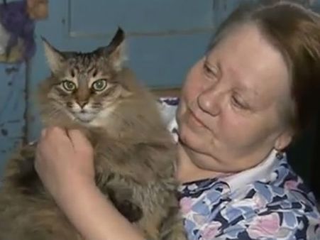 ಚಳಿಗೆ ನಲುಗುತ್ತಿದ್ದ ಮಗುವನ್ನು ಕಾಪಾಡಿದ ಬೆಕ್ಕು ಮಾಶಾ!