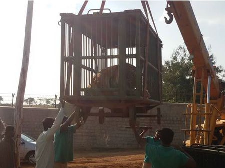 ಮೈಸೂರಲ್ಲಿ ಮತ್ತೊಂದು ಮಿನಿ ಜೂ ಶೀಘ್ರ ಉದ್ಘಾಟನೆ