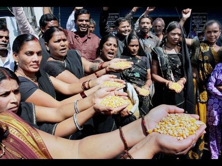 ಚಿತ್ರಗಳಲ್ಲಿ: ಹಂದಿಜ್ವರ ಭೀತಿ, ಕಾಂಗ್ರೆಸ್ ಪಾದಯಾತ್ರೆ