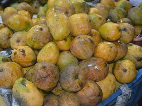 ಬೆಂಗಳೂರು : ಹಾಪ್‌ಕಾಮ್ಸ್ ಮಾವು ಮೇಳಕ್ಕೆ ಚಾಲನೆ