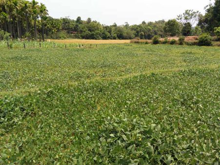 ಜಾಗೃತಿಗೆ ಮೊದಲು ಪರಿಸರ ಬಗ್ಗೆ ತಿಳಿದುಕೊಳ್ಳಿ