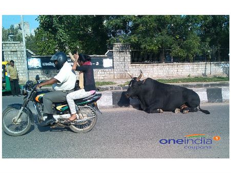 ಕೋರಮಂಗಲದ ಕಪ್ಪು ಸುಂದರ ಹಾರ್ನ್ ಗೆಲ್ಲ ಜಗ್ಗಲ್ಲ!