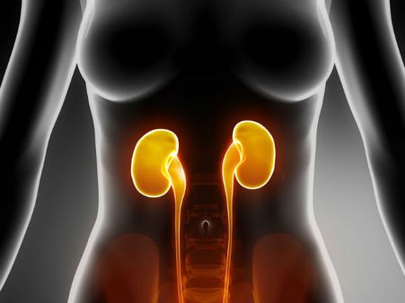 ಕಿಡ್ನಿ ಮಾರಾಟ ದಂಧೆಯ ಐವರು ಆರೋಪಿಗಳ ಬಂಧನ