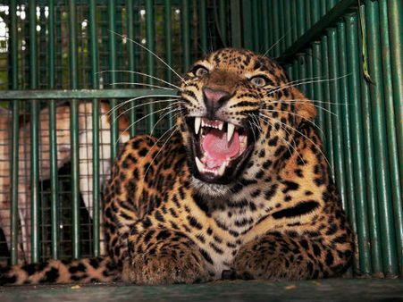 ಶುಕ್ರವಾರದ ಪ್ರಮುಖ ಸುದ್ದಿಗಳ ಚಿತ್ರ ಸಂಪುಟ