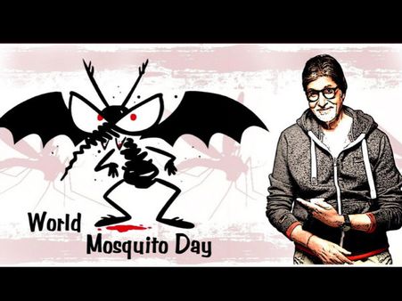 ಸೊಳ್ಳೆ ದಿನಾಚರಣೆ ಬಗ್ಗೆ ಸೊಲ್ಲೆತ್ತಿದ ಅಮಿತಾಬ್ ಬಚ್ಚನ್!