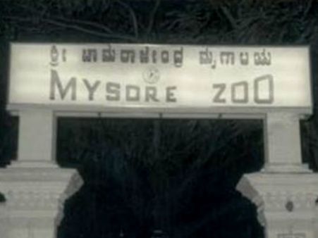 ಮೈಸೂರು: ಮಿರೆಲ್ಲಾ ಸಾವಿಗೆ ವಿಷಪ್ರಾಶನ ಕಾರಣ