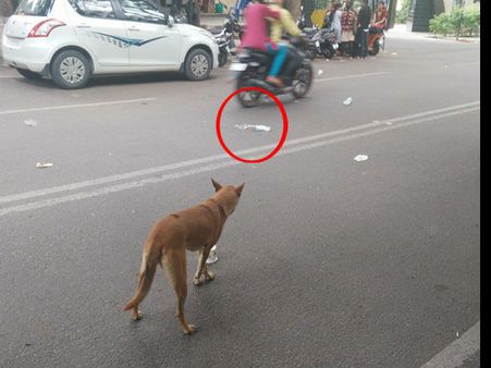 ಕಸದ ಲಾರಿ ವೇಗವಾಗಿ ಹೋಯ್ತು, ಆಸ್ಪತ್ರೆ ತ್ಯಾಜ್ಯ ರಸ್ತೆ ಪಾಲಾಯ್ತು