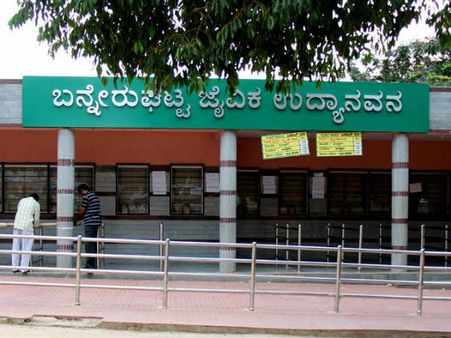 ಬನ್ನೇರುಘಟ್ಟ ಜೈವಿಕ ಉದ್ಯಾನದ ಸಹದೇವ ಇನ್ನಿಲ್ಲ