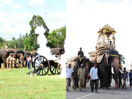 ಆನೆಗಳ  ಭಾರ ಹೊರುವ, ಸಿಡಿಮದ್ದು ತಾಲೀಮು ಹೇಗಿರುತ್ತೆ?