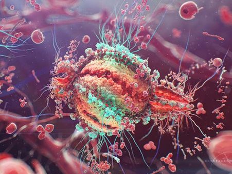 ಝಿಕಾ ವೈರಸ್ ಎಂದರೇನು? ಹೇಗೆ ಹರಡುತ್ತದೆ?