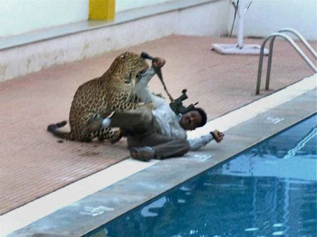 ಬೆಂಗಳೂರು ಕಳವಳ - ಪರಾರಿಯಾದ ಚಿರತೆಗೆ ವ್ಯಾಪಕ ಶೋಧ