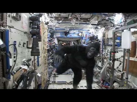 ಬೆಂಗಳೂರಲ್ಲಿ ಚಿತ್ರಾಂಗದೆ, ಬಾಹ್ಯಾಕಾಶದಲ್ಲಿ ಗೊರಿಲ್ಲಾ...!