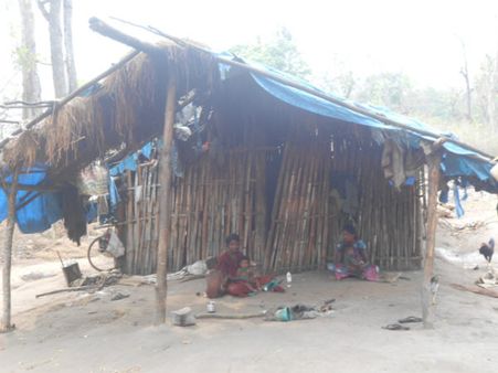 ಸುಂದರ ಮೈಸೂರು ದಸರಾ ಮಾವುತರ ಕರಾಳ ಬದುಕಾ ಕಂಡೀರಾ?