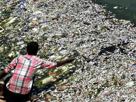 ಹಲಸೂರು ಕೆರೆ ಸಂರಕ್ಷಣೆ ಹೊಣೆ ಯಾರದ್ದು?