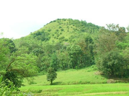 ಚಾರಣಿಗರ ಕೈಬೀಸಿ ಕರೆಯುವ ಕೊಡಗಿನ ಭತ್ತದರಾಶಿ ಬೆಟ್ಟ