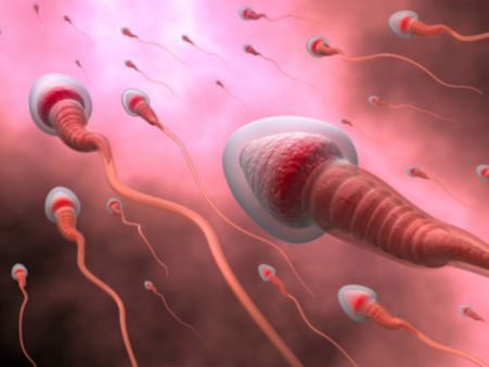 ಬ್ರಾಹ್ಮಣ ಹುಡುಗನ ವೀರ್ಯಕ್ಕೆ ಭಾರೀ ಬೇಡಿಕೆ