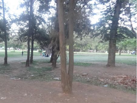 15 ವರ್ಷಗಳ ಹಿಂದೆ ಹಸಿರು ಬೆಂಗಳೂರು ಹೇಗಿತ್ತು?