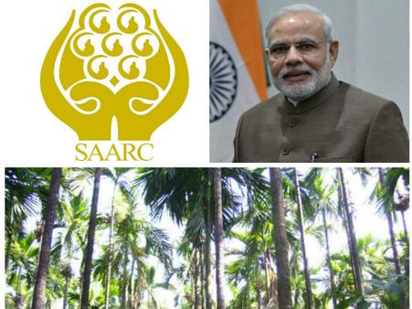 ಅಡಿಕೆ ಧಾರಣೆ ಕುಸಿತಕ್ಕೆ ಸಾರ್ಕ್‌ ಒಕ್ಕೂಟ ಕಾರಣ ಅಂದ್ರೆ ನಂಬ್ತೀರಾ?