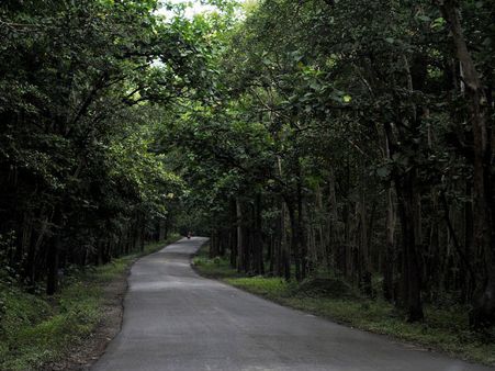 ಗೋವಾಕ್ಕೆ ಹೆದ್ದಾರಿ, 37 ಸಾವಿರ ಮರ ಕಾಪಾಡೋರು ಯಾರ್ರಿ?