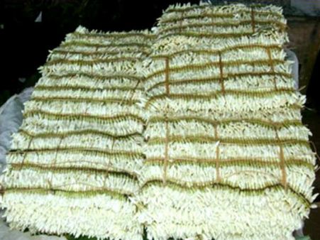 ಕನಿಷ್ಠ ದರಕ್ಕೆ ಕುಸಿಯಿತು ಮಲ್ಲಿಗೆ, ಜಾಜಿ ಹೂವು