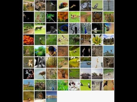 ಅ.1, 2ರಂದು ನ್ಯಾಟ್ ವಿನ್ ಫೋಟೋ ಪ್ರದರ್ಶನ