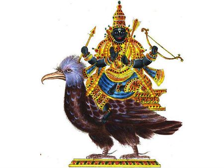 ಹುಲುಮಾನವನಿಗೆ ಶನಿಯಿಂದ ಬರುವ ರೋಗ ಹಲವಾರು