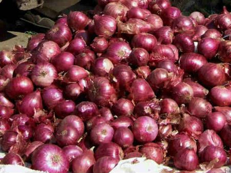 ಈರುಳ್ಳಿ ಖರೀದಿಗೆ ರಾಜ್ಯಸರ್ಕಾರದಿಂದ 50ಕೋಟಿ ರೂ. ಬಿಡುಗಡೆ