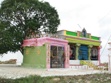 ನಿಸರ್ಗಪ್ರೇಮಿಗಳಿಗೆ ವರದಾನ ಕರಿವರದರಾಜಸ್ವಾಮಿ ಬೆಟ್ಟ