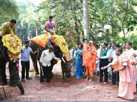 ಮೈಸೂರು: ಸರಕಾರದ ಸುರ್ಪದಿಗೆ ಸುತ್ತೂರು ಮಠದ ಆನೆಗಳು