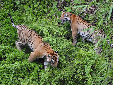ಮಂಗಳೂರಿನ ಜೈವಿಕ ಉದ್ಯಾನವನ ಈಗ ಕ್ಯಾಶ್ ಲೆಸ್