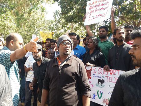 ಜಲ್ಲಿಕಟ್ಟುಗಾಗಿ ಬೆಂಗಳೂರಿನಲ್ಲಿ ಪ್ರತಿಭಟನೆ ಮುಂದುವರಿಕೆ