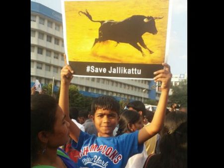 ಜಲ್ಲಿಕಟ್ಟಿಗಾಗಿ ಬೆಂಗಳೂರಿನಲ್ಲಿಯೂ ದನಿಯೆತ್ತಿದ ತಮಿಳರು