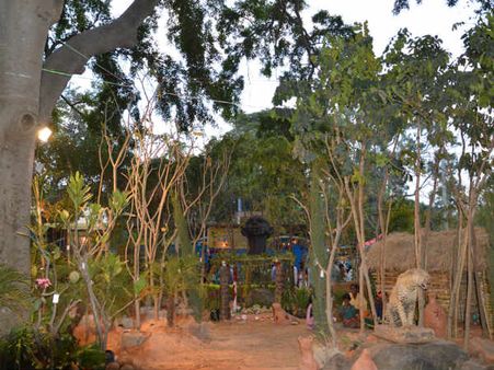 ಲಾಲ್ ಬಗ್ ನಲ್ಲಿ ಚಾಮರಾಜ ನಗರ ಈ ಪ್ರಕೃತಿ ಮಕ್ಕಳಿಗೇನು ಕೆಲಸ?