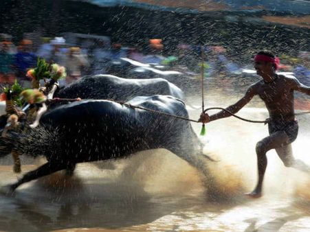 ಕಂಬಳಕ್ಕೆ ಪ್ರತ್ಯೇಕ ಕಾನೂನಿಗೆ ರಾಜ್ಯ ಸರ್ಕಾರ ಚಿಂತನೆ -ಜಯಚಂದ್ರ