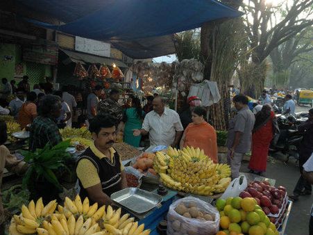 ಬರಕ್ಕೆ ತತ್ತರಿಸಿದ ರೈತನಿಗಿಲ್ಲ ಸಂಕ್ರಾಂತಿ ಸಡಗರ.. 